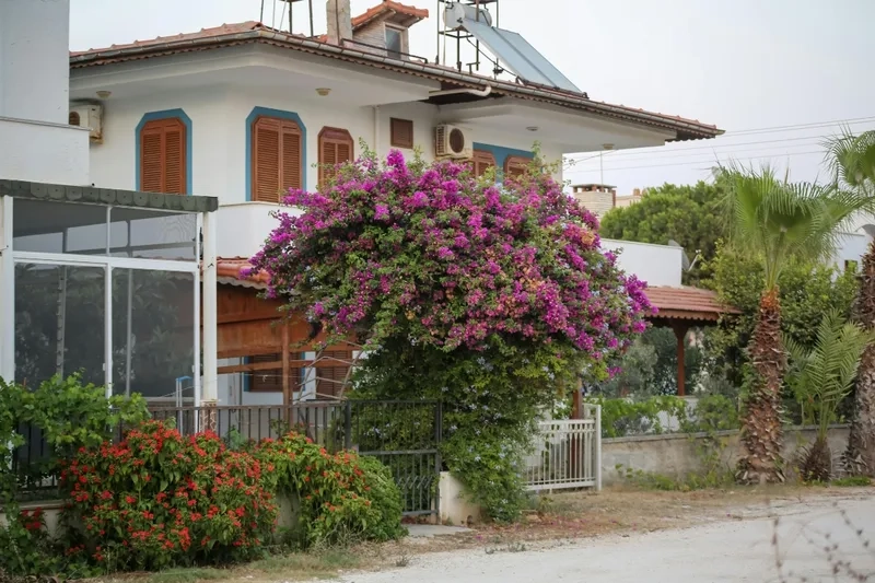 Trở về quê hương với biệt thự sân vườn quê thoáng đãng