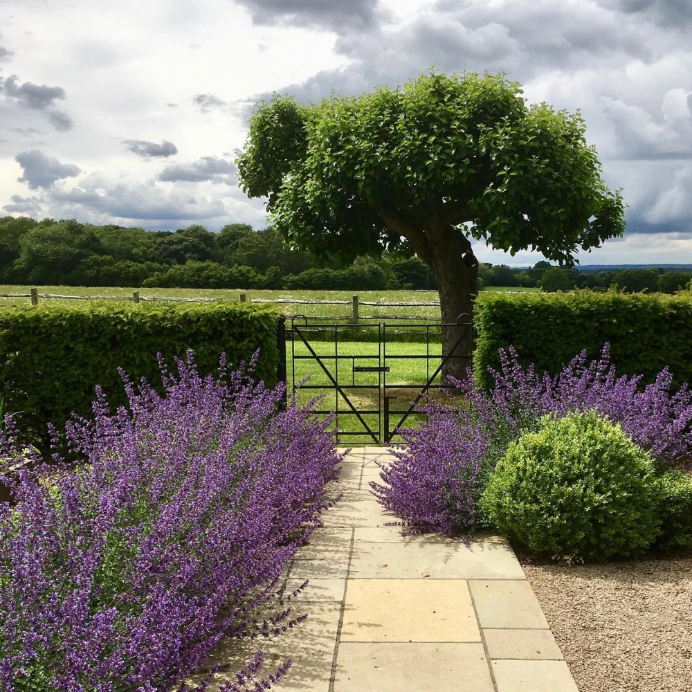 Mẫu cổng nhà vườn 2 cánh hiện đại màu đen tuyền