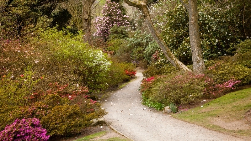 Mẫu lối đi sân vườn bằng gỗ nhựa composite chịu nước