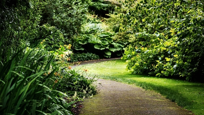 Thiết kế lối đi sân vườn rải sỏi trắng phong cách hiện đại