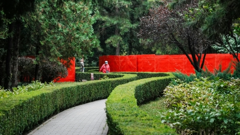 Mẫu đá lát lối đi sân vườn đẹp kết hợp cỏ xanh tự nhiên