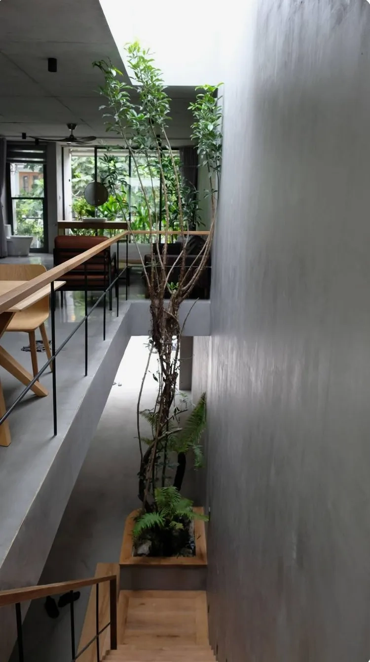 Chiêm ngưỡng ảnh giếng trời cuối nhà ống rộng thoáng