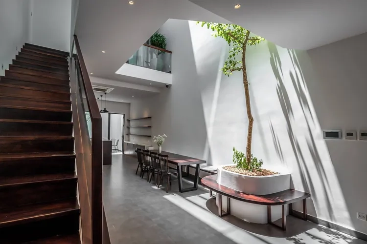 Ảnh giếng trời mái che bảo vệ và vẫn tràn sáng