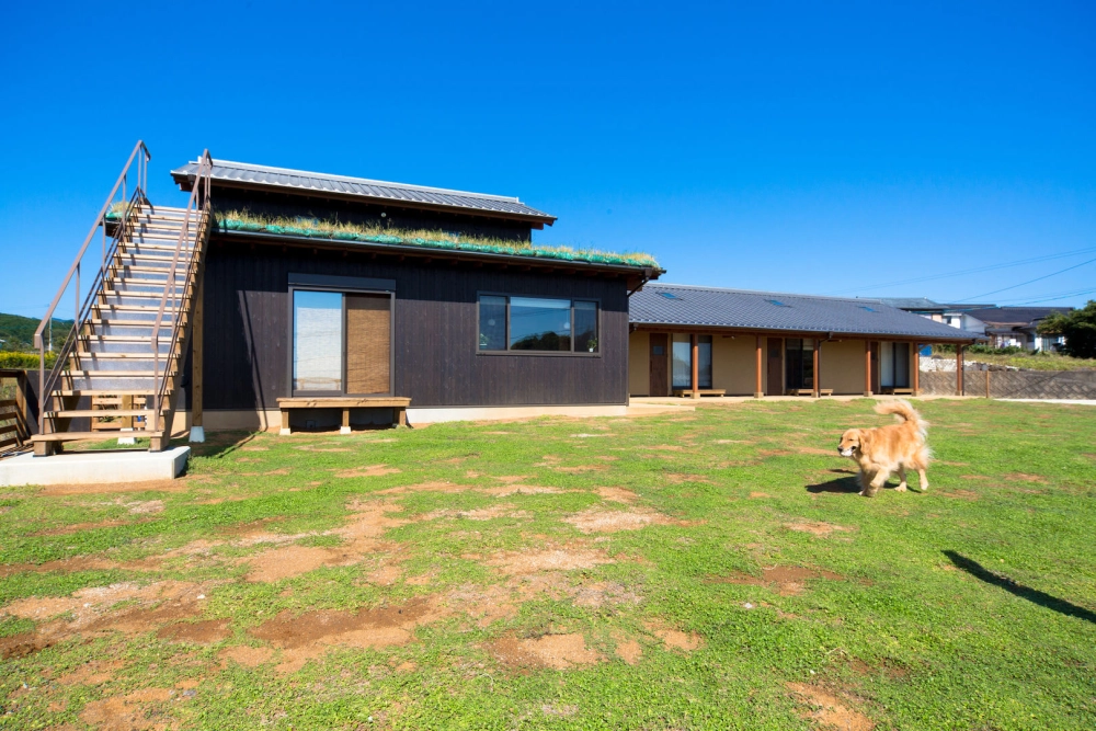 Tiểu cảnh sân vườn đẹp lạ mắt với hồ cá koi và hòn non bộ