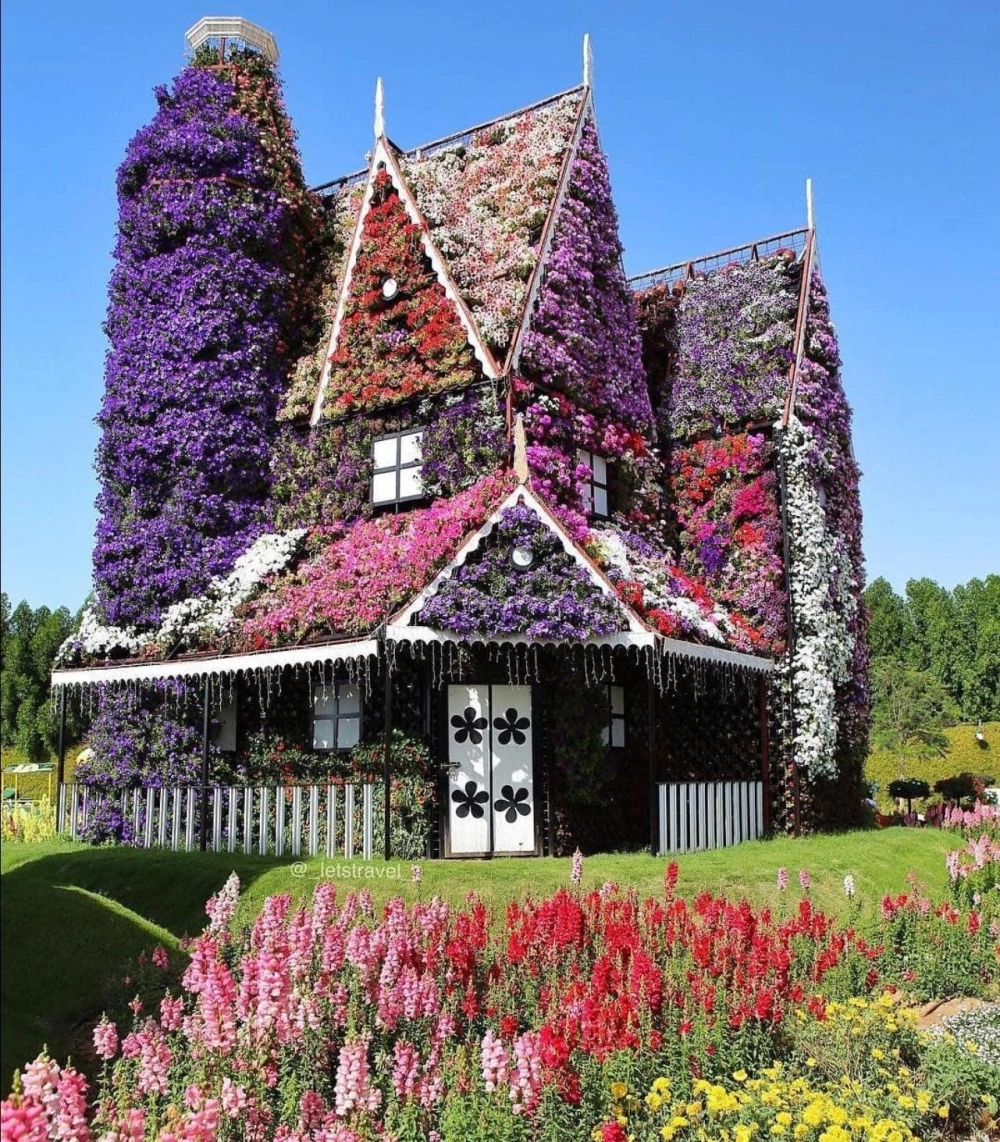 Hình ảnh nhà vườn hình nấm lạ mắt nằm giữa khu vườn nhiệt đới