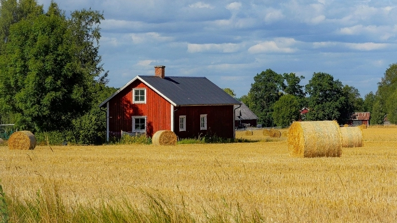 Mẫu nhà vườn ngoại ô hiện đại với không gian xanh mát