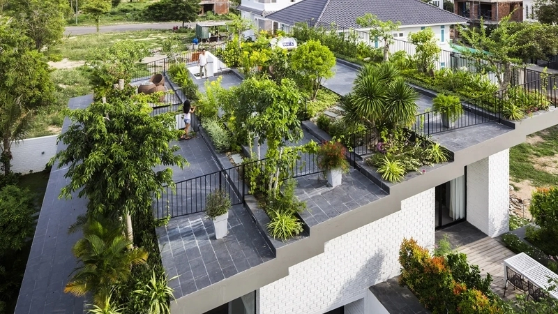 Mặt tiền nhà vườn xanh mát được bao phủ bởi dàn dây leo rủ bóng