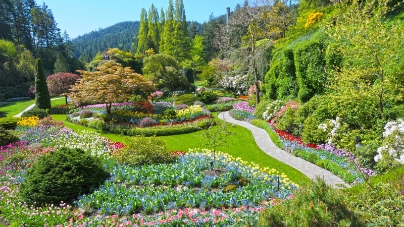 Hình ảnh mẫu chòi nghỉ sân vườn đẹp phong cách nhiệt đới xanh mát