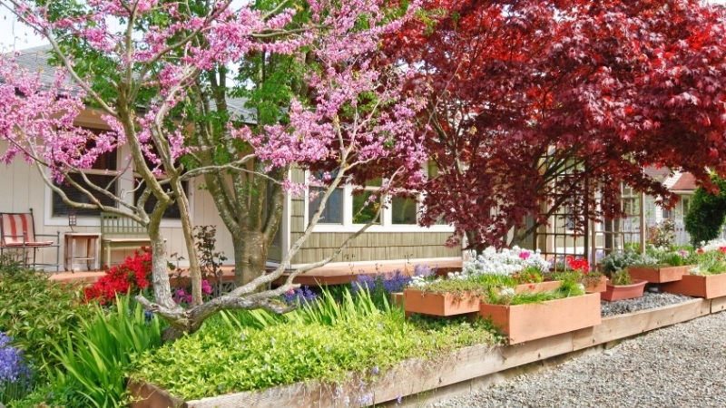 Hướng dẫn cách thiết kế sân vườn đẹp cho nhà phố diện tích nhỏ hẹp