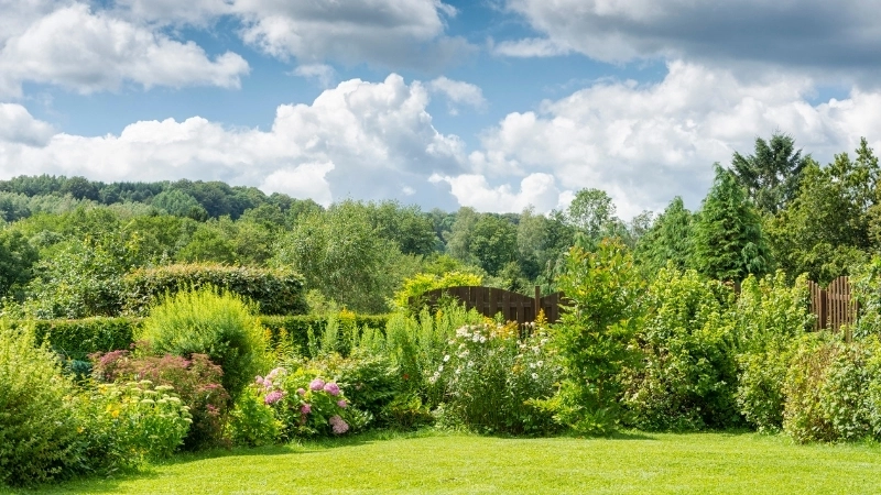 Không gian mẫu thiết kế sân vườn đẹp kết hợp hồ bơi vô cực sang trọng