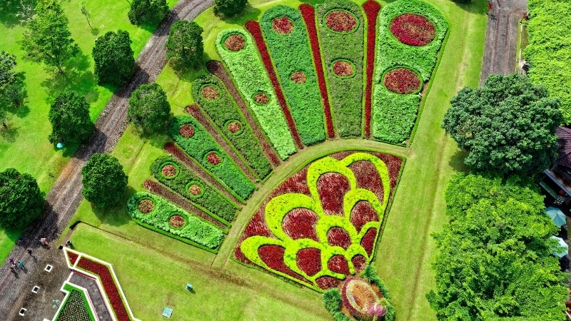 Thiết kế sân vườn đẹp đơn giản ở nông thôn mang đậm nét truyền thống việt nam