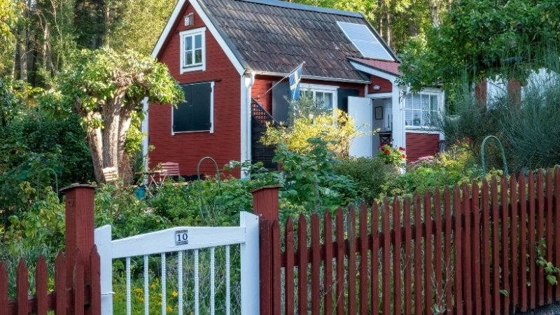 Mẫu thiết kế sân vườn trước nhà với hàng rào hoa hồng leo lãng mạn