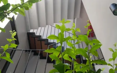 Mẫu nhà ống có giếng trời tạo không gian sống thoải mái