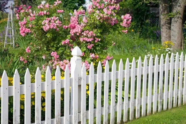 Những mẫu hàng rào nhà vườn đẹp an toàn và kiên cố