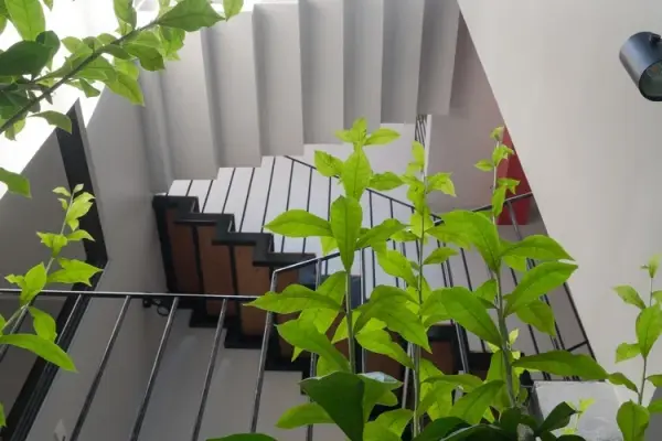 Mẫu nhà ống có giếng trời tạo không gian sống thoải mái