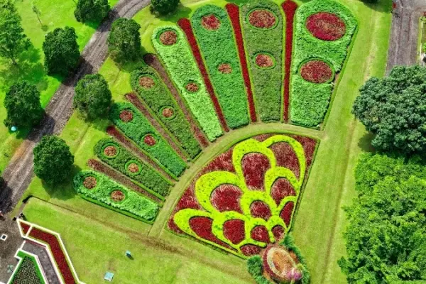 Tổng hợp các mẫu sân vườn đẹp đơn giản cho nhà phố