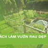 Mẫu Vườn Rau Đẹp Tại Nhà: Hướng Dẫn Chi Tiết Tạo Không Gian Xanh Mát