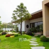 Thiết kế sân vườn nhỏ sau nhà: Không gian xanh mát và thư giãn