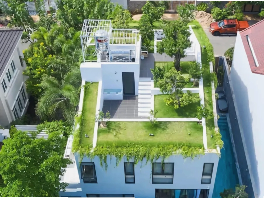 Các loại cây trồng sân thượng chịu nắng tốt, dễ chăm sóc