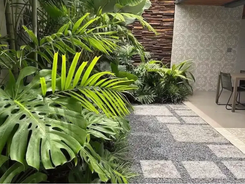 Cây xoài ra hoa kết trái