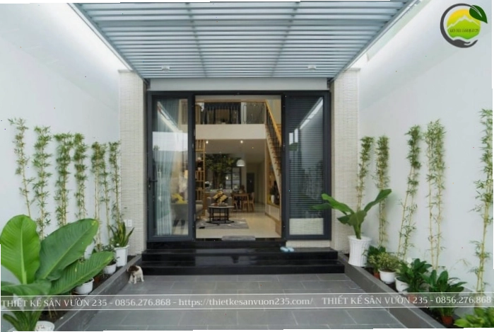 Hàng chậu cây độc đáo trang trí lối đi vào nhà cấp 4