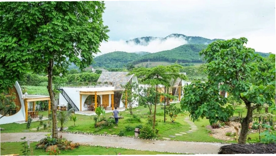 Không gian xanh mát hòa mình cùng thiên nhiên trong thiết kế homestay nhà vườn