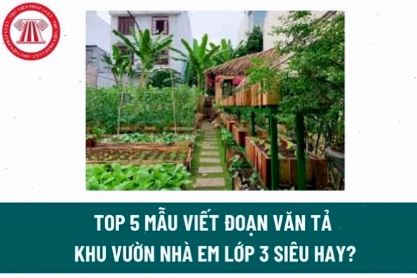 Khu vườn nhà em với nhiều loại cây trái sum suê