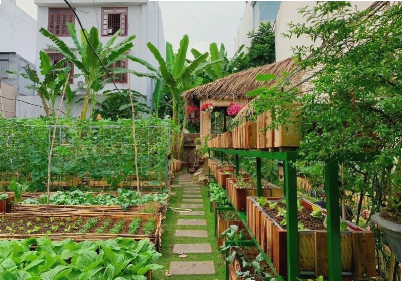 Khu vườn nhỏ trên sân thượng