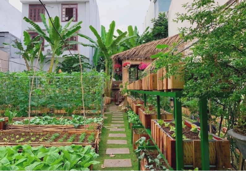 Khu vườn nhỏ xinh trên ban công với nhiều loại rau ăn lá