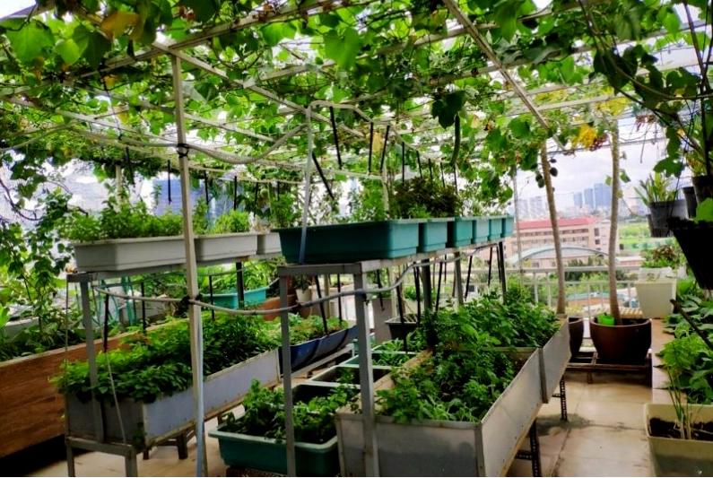 Khu vườn nhỏ xinh xắn