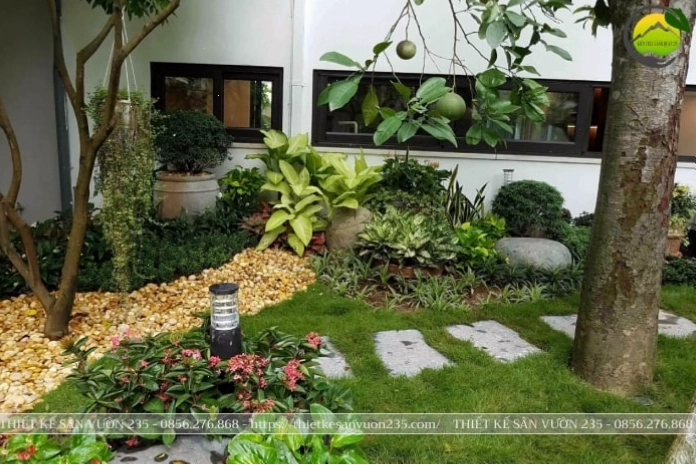 Lưu ý khi trồng cây quá sát nhà cấp 4