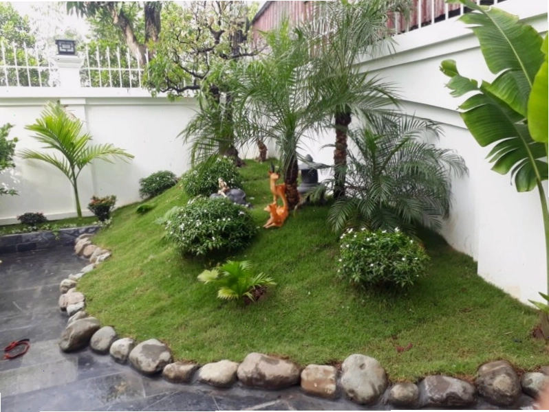 Mẫu sân vườn nhà ống với bố cục hài hòa