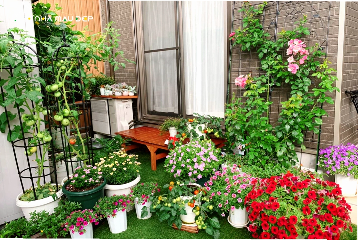 Mẫu thiết kế vườn hoa trước nhà phong cách hiện đại với lối đi lát đá