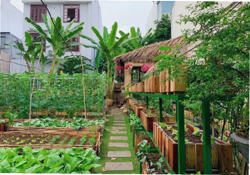 Mẫu vườn rau đẹp sau nhà với nhiều loại rau xanh tươi tốt