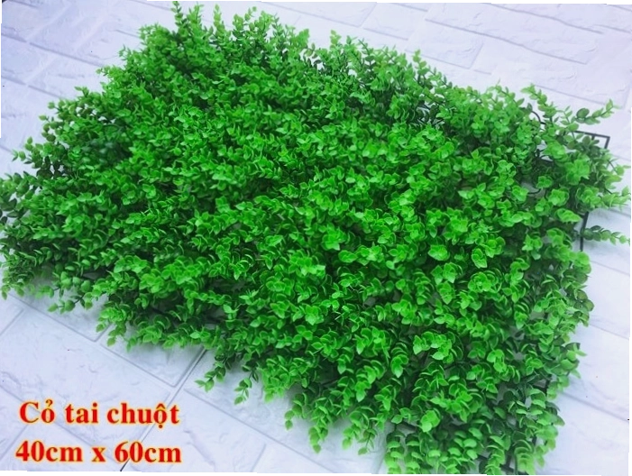 Mua cỏ nhựa tai chuột với giá tốt ở đâu