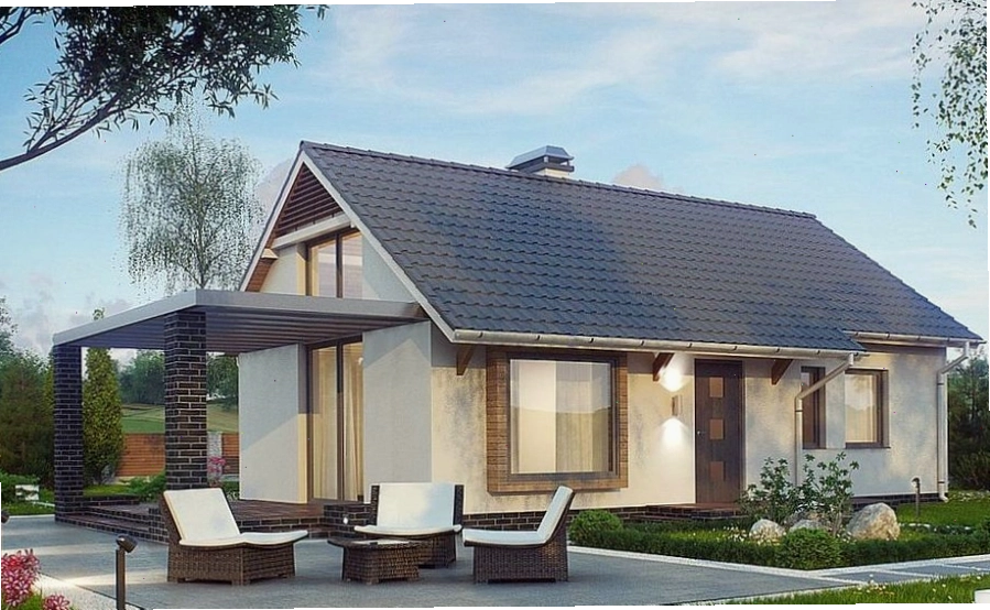 Nhà vườn 1 tầng mái dốc phong cách hiện đại