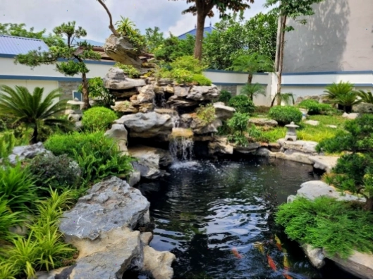 Thiết kế hồ cá koi ngoài trời cho sân vườn nhà ống