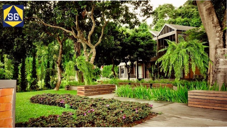 Thiết kế sân vườn nhà quê cho nhà cấp 4