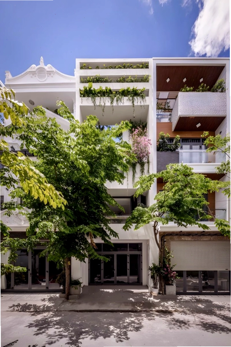Tiểu cảnh nhà phố với cây xanh và hồ nước nhỏ tạo không gian yên bình