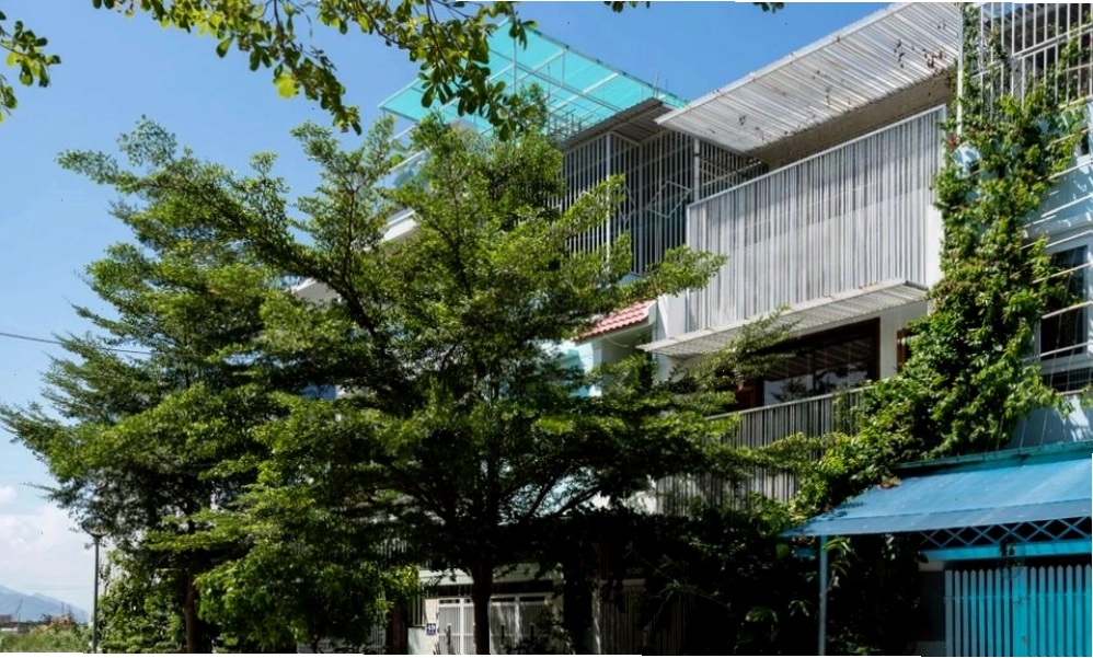 Trồng cây to che khuất nhà