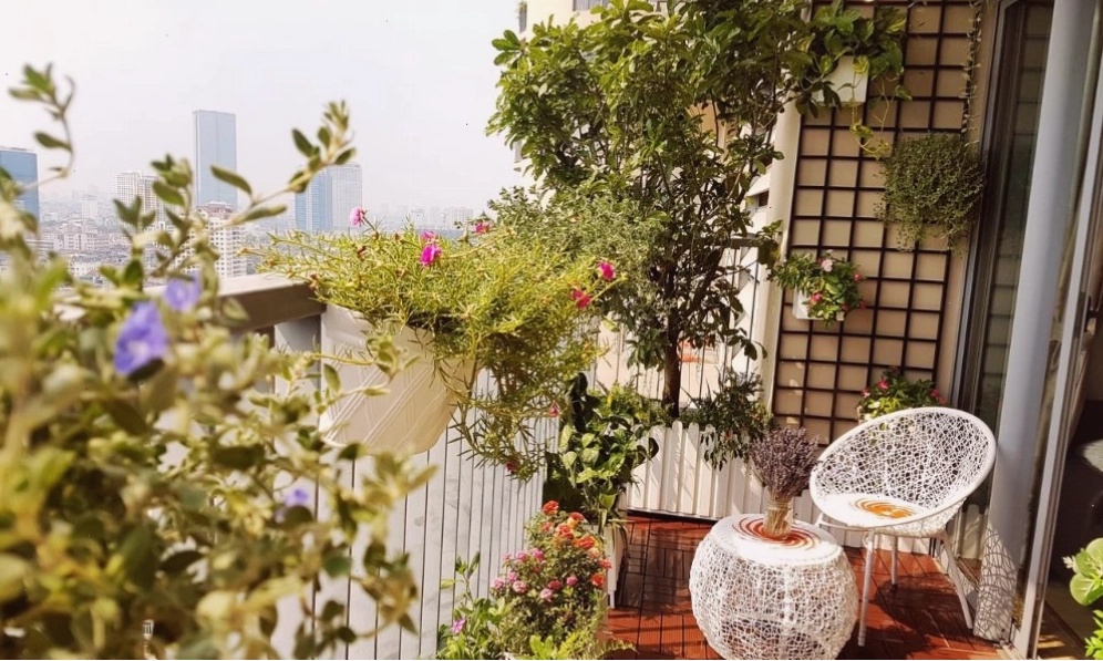Trồng cây xanh ở ban công