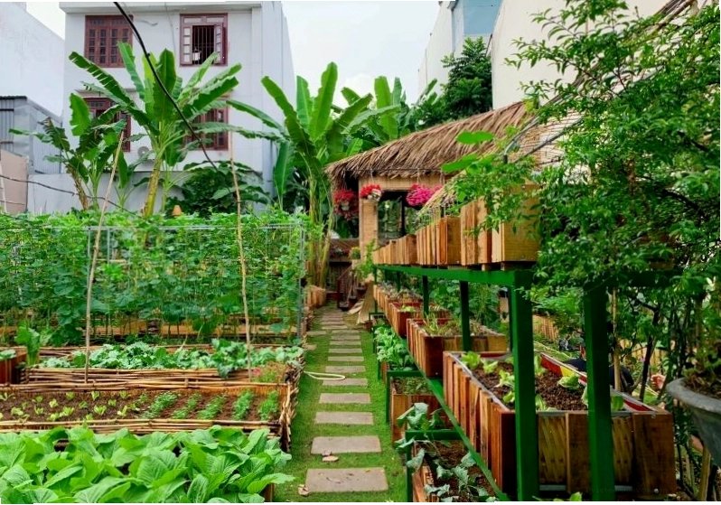 Trồng rau trong thùng xốp trên ban công nhỏ