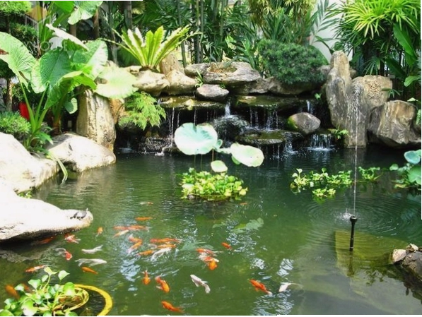 Vườn hoa nhỏ trước nhà cấp 4