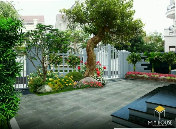 Vườn hoa trước nhà với sự kết hợp của nhiều loại cây