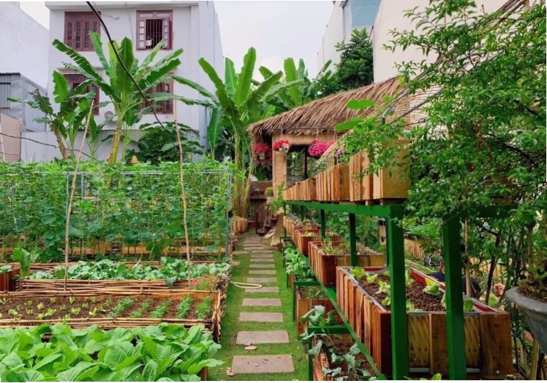 Vườn rau đẹp tại nhà với các loại rau xanh mướt trên ban công