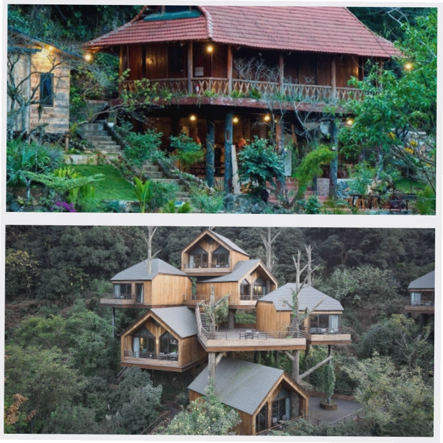 Ý tưởng thiết kế homestay trên cây độc đáo