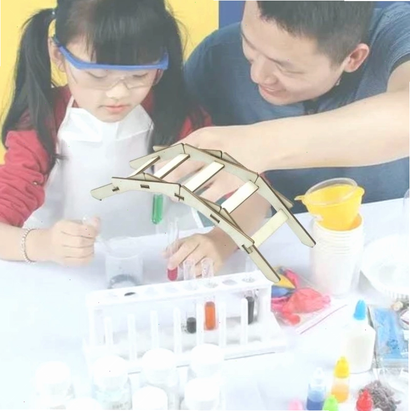 Cầu Tự Lực Đồ chơi giáo dục STEM STEAM