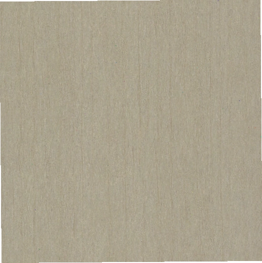 Antonina Vella Dazzling Dimensions Natural Texture Wallpaper Gold Silver