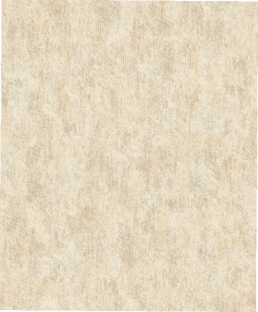 Antonina Vella Modern Metals Shimmering Patina Wallpaper Gold on Silver