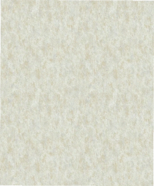 Antonina Vella Modern Metals Shimmering Patina Wallpaper Neutral Gold
